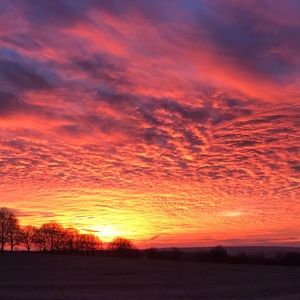 Meet your Posher, Suzanne
